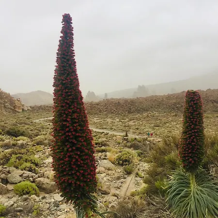 Casa Antonio - Orion Apartament *